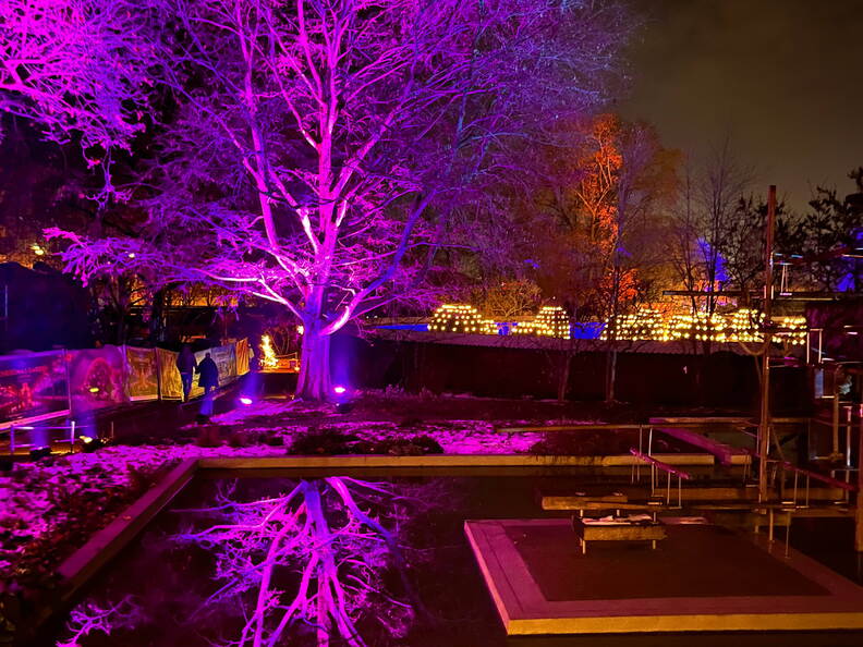 22-12-19 19-57-36 3681